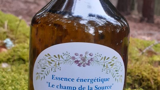 Remède O FOIE
